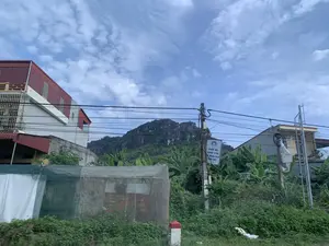 Bức ảnh ghi lại một khung cảnh ven đường ở một khu vực dân cư, phía sau là một ngọn núi đá vôi. Bầu trời xanh, có mây trắng. Có một số ngôi nhà, cây cối um tùm, đặc biệt là các bụi chuối. Hệ thống dây điện chằng chịt vắt ngang qua khung cảnh. Trên một cột điện bê tông có treo một tấm biển với nội dung: 'KHỎE MẸ, KHỎE CON, ĐỂ NUÔI DẠY CON TỐT.' Ở phía trước, có một cọc tiêu sọc đỏ trắng và một tấm biển khác màu đỏ bị che bởi một tấm lưới xanh nên không thể đọc rõ nội dung. Không có người hoặc hoạt động cụ thể nào được nhìn thấy trong ảnh.。（日本語訳）。写真は、ある住宅地の道端の風景を記録したもので、後方には石灰岩の山があります。空は青く、白い雲があります。いくつかの家、生い茂る木々、特にバナナの茂みがあります。複雑に絡み合った電線が風景を横切っています。コンクリートの電柱には、「母が健康、子が健康、良い子育てのために。」という内容の看板が掲げられています。手前には、赤と白の縞模様のポールと、緑色のネットで覆われているため内容がはっきりと読み取れない別の赤い看板があります。写真には人や特定の活動は見られません。