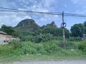 Bức ảnh chụp một khung cảnh nông thôn ven đường. Phía sau là một ngọn núi đá vôi lớn, hiểm trở, đặc trưng của vùng Thanh Hóa, được bao phủ bởi cây cối. Bầu trời trong xanh, có nhiều mây trắng. Ở giữa là một khu vực cây cối xanh tốt, rậm rạp, trong đó có nhiều cây chuối. Bên trái có một ngôi nhà cấp bốn cũ, tường xây bằng gạch mộc và gạch block, mái lợp tôn. Một cột điện bê tông đứng ở bên phải, với nhiều dây điện và dây cáp viễn thông chằng chịt vắt ngang qua phần trên của bức ảnh. Lề đường ở tiền cảnh có cỏ dại và một số loài hoa dại màu tím mọc um tùm. Không có văn bản, biển báo hay chữ viết nào có thể đọc được trong ảnh.。（日本語訳）。写真は道端の田舎の風景を写しています。後方には、タインホア地方特有の、木々に覆われた険しく大きな石灰岩の山があります。空は青く澄み、白い雲が多く浮かんでいます。中央には、青々と生い茂る木々のエリアがあり、その中には多くのバナナの木があります。左側には古い平屋があり、壁はむき出しのレンガとブロックで造られ、屋根はトタンで葺かれています。右側にはコンクリートの電柱が立っており、多くの電線や通信ケーブルが写真の上部を複雑に横切っています。前景の道端には、雑草と数種類の紫色の野花が鬱蒼と生い茂っています。写真の中には、読み取れるテキスト、標識、または文字はありません。