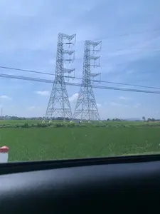 Bức ảnh chụp một khung cảnh nông thôn, có thể là ở khu vực Thanh Hóa, được nhìn từ bên trong một chiếc ô tô. Nổi bật trong ảnh là một cánh đồng lúa xanh mướt trải dài. Giữa cánh đồng có hai cột điện cao thế bằng kết cấu thép rất lớn, đứng song song với nhau. Nhiều đường dây điện chạy ngang qua bầu trời xanh và có mây. Ở phía xa là những ngôi nhà, cây cối và một ngọn núi. Dưới chân các cột điện có một vật thể trông giống như một chiếc lều bạt màu xanh. Ở góc dưới bên trái có một cọc tiêu ven đường màu trắng và đỏ. Không có chữ viết hay văn bản nào có thể đọc được trong ảnh.。（日本語訳）。写真は、おそらくタインホア地方の田園風景を、車内から撮影したものです。写真の中で際立っているのは、広がる青々とした水田です。田んぼの真ん中には、非常に大きな鉄骨構造の高圧電線の鉄塔が2本、互いに平行に立っています。多くの電線が、青く雲のある空を横切っています。遠くには家々、木々、そして一つの山が見えます。鉄塔の麓には、青い防水シートのテントのような物体があります。左下隅には、白と赤の道路脇の標柱があります。写真の中には、読み取れる文字やテキストはありません。