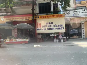 Bối cảnh là một con phố ở Việt Nam với các cửa hàng kinh doanh nằm san sát nhau bên lề đường. Bên trái là một quầy hàng rong bán trái cây trên một chiếc xe đẩy màu đỏ, được che bởi hai chiếc ô lớn. Trên quầy có bày bán nhiều loại hoa quả. Phía trên quầy có treo một biểu ngữ màu vàng với nội dung: 'NHẬN LÀM LẴNG HOA QUẢ - BÁN BỘT NGHỆ VÀNG, MẬT ONG NGUYÊN CHẤT'. Ở giữa, một cửa hàng treo một biểu ngữ lớn màu vàng. Phần trên cùng màu đỏ ghi 'BÁN: CHẬU HOA CÂY CẢNH'. Phần chính của biểu ngữ có chữ màu xanh và đỏ: 'IN MẪU THIỆP MỜI - HÓA ĐƠN... BÁNH SINH NHẬT'. Phía trước cửa hàng này có nhiều chậu cây cảnh bằng sành, sứ được xếp trên vỉa hè để bán. Bên phải là cửa hàng 'Store Mi Na', chuyên 'Bán & Cho Thuê Đồ Dự Tiệc'. Biển hiệu có ghi tên và số điện thoại liên hệ: 'Nguyễn Thu Thủy', 'Thu Hương', '0962 224 816', '0354 143 711'. Bên dưới có một biểu ngữ khác thông báo 'Tưng Bừng Khai Trương, Ngập Tràn Khuyến Mãi... Từ ngày 2/4 đến 10/4/2023'. Một biển hiệu dọc trên cột nhà ghi 'CHUYÊN MỸ PHẨM HÀN NHẬT PHUN XĂM'. Một chiếc xe máy đang đậu trên vỉa hè.。（日本語訳）。背景はベトナムのある通りで、道端に商店が軒を連ねています。左側には、赤い手押し車の上で果物を売る露店があり、2つの大きな傘で覆われています。店先には多くの種類の果物が並べられています。店先の上には、『果物かごの注文承ります - 黄ウコン粉、純粋な蜂蜜を販売』という内容の黄色い横断幕が掲げられています。中央には、ある店が大きな黄色い横断幕を掲げています。一番上の赤い部分には『販売：植木鉢、観葉植物』と書かれています。横断幕の主要部分には、青と赤の文字で『招待状のサンプル印刷 - 請求書... 誕生日ケーキ』と書かれています。この店の前には、陶器や磁器でできた多くの観葉植物の鉢が歩道に並べられて販売されています。右側は『Store Mi Na』という店で、『パーティー用品の販売とレンタル』を専門としています。看板には連絡先の名前と電話番号が記載されています：『Nguyễn Thu Thủy』、『Thu Hương』、『0962 224 816』、『0354 143 711』。その下には、『グランドオープン、プロモーション満載... 2023年4月2日から4月10日まで』と告知する別の横断幕があります。家の柱にある縦長の看板には『韓国・日本の化粧品、アートメイク専門』と書かれています。一台のバイクが歩道に停まっています。