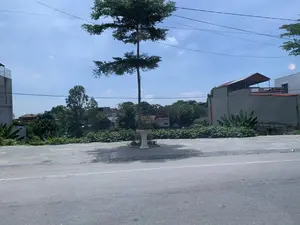 Hình ảnh ghi lại một khung cảnh ven đường tại một khu dân cư. Ở phía trước là một con đường nhựa. Tiếp đến là vỉa hè được lát gạch, trên đó có một cây xanh cao (giống cây bàng Đài Loan) được trồng trong một chậu cảnh bằng xi măng màu trắng. Xung quanh vỉa hè có nhiều cây cối và bụi rậm, bao gồm cả cây chuối. Phía sau là các ngôi nhà dân, một số đang trong quá trình xây dựng, xen kẽ với nhiều cây xanh. Bầu trời trong xanh, có vài gợn mây và các đường dây điện giăng qua. Không có người và không có hoạt động nào đang diễn ra. Không có biển báo hay chữ viết nào trong ảnh.。（日本語訳）。画像は、ある住宅街の道端の風景を記録したものです。手前にはアスファルトの道路があります。次にタイル張りの歩道があり、その上には白いセメント製の植木鉢に植えられた背の高い緑の木（台湾モモタマナのような木）があります。歩道の周りには、バナナの木を含む多くの木々や茂みがあります。奥には民家があり、いくつかは建設中で、多くの緑の木々と混在しています。空は青く澄んでおり、いくつかの雲の筋と電線が張り巡らされています。人影はなく、何の活動も行われていません。写真には看板や文字はありません。