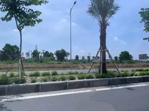 Hình ảnh ghi lại một khung cảnh ven đường vào một ngày nắng. Ở phía trước là một con đường nhựa với vạch kẻ trắng và bó vỉa bê tông. Dải phân cách hoặc lề đường được trồng cây xanh, bao gồm một cây cọ được chống bằng khung tre/gỗ và một cây thân gỗ khác. Dọc theo bó vỉa là những bụi cây nhỏ mới trồng. Có một cột đèn đường cao bằng kim loại. Phía bên kia đường là một khu đất trống rộng lớn, đất có màu nâu và một số thảm thực vật. Ở phía xa có nhiều cây cối, các cột điện và cột điện cao thế. Có thể nhìn thấy các cọc tiêu hoặc biển báo giao thông sọc đỏ trắng ở xa nhưng không thể đọc được nội dung. Bầu trời trong xanh và có vài gợn mây.。（日本語訳）。画像は、ある晴れた日の道端の風景を記録したものです。手前には、白い線が引かれ、コンクリートの縁石があるアスファルトの道路があります。中央分離帯または路肩には緑が植えられており、竹/木のフレームで支えられたヤシの木と、もう一本の木本植物が含まれています。縁石に沿って、新しく植えられた小さな低木があります。金属製の高い街灯が一本あります。道路の向こう側には広大な空き地があり、土は茶色で、いくつかの植生が見られます。遠くには多くの木々、電柱、高圧電線の鉄塔があります。遠くに赤と白の縞模様のデリニエーターまたは交通標識が見えますが、内容は読み取れません。空は青く澄んでおり、いくつかの筋雲があります。