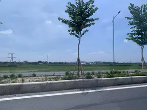 Bức ảnh ghi lại khung cảnh vùng nông thôn ven đường. Ở phía trước là một con đường nhựa và dải phân cách bê tông. Dọc ven đường có trồng những cây xanh mới, được chống đỡ bằng cọc. Phía sau con đường là một cánh đồng lúa xanh bạt ngàn. Ở phía xa là một khu dân cư với nhà cửa, cây cối, cùng với các công trình như cột điện cao thế, cột đèn đường và một tháp viễn thông. Bầu trời trong xanh và có ít mây.。（日本語訳）。写真は、道沿いの田舎の風景を捉えています。手前には、アスファルトの道路とコンクリートの中央分離帯があります。道沿いには新しい緑の木が植えられており、支柱で支えられています。道路の向こうには、見渡す限りの緑の田んぼが広がっています。遠くには、家々や木々のある住宅地があり、高圧電線の鉄塔、街灯、そして通信塔のような建造物もあります。空は青く澄んでおり、雲はほとんどありません。