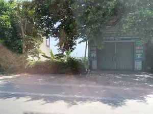 Bức ảnh chụp một khung cảnh ven đường ở khu vực nông thôn. Trung tâm bức ảnh là một ngôi nhà mặt tiền, có vẻ là một cửa hàng, với cửa cuốn bằng kim loại màu xanh lá cây đang đóng kín.。Trên mặt tiền có treo nhiều biển hiệu, một số bị che khuất bởi tán cây. Nội dung có thể đọc được trên các biển hiệu bao gồm:。- Biển hiệu lớn phía trên: '...ÔNG NG... PHỤ KIỆN TRỒNG... CHẬU TRỒNG HOA - CÂY CẢNH'. Địa chỉ được ghi là '...ĐÔNG TIẾN - ĐÔNG SƠN - THANH HÓA' và số điện thoại 'ĐT: 0974.596...'.。- Biển hiệu dọc bên phải: 'KỸ SƯ NÔNG NGHIỆP... Chuyên THUỐC SINH HỌC, THUỐC BẢO VỆ...' cùng số điện thoại 'ĐT: 0974.596.742'.。- Biển hiệu dọc bên trái: Có chữ 'CÂY CẢNH' và số điện thoại 'ĐT: 0974.596.742'.。Dựa vào thông tin trên, đây là một cửa hàng kinh doanh vật tư nông nghiệp, chuyên về cây cảnh, chậu hoa và các loại thuốc bảo vệ thực vật.。Xung quanh cửa hàng có nhiều cây cối um tùm, có thể thấy cây đu đủ và cây chuối. Phía trước là con đường nhựa, trên mặt đường có in bóng của những tán cây. Không có hoạt động mua bán hay người nào trong ảnh, cho thấy một khung cảnh yên tĩnh vào ban ngày.。（日本語訳）。写真は田舎の道端の風景を写したものです。写真の中央には、店舗と思われる正面の家があり、緑色の金属製シャッターが閉まっています。正面には多くの看板が掲げられていますが、いくつかは木の葉で隠れています。看板で読み取れる内容は以下の通りです。- 上部の大きな看板：「...ÔNG NG... 栽培用具... 花鉢 - 観葉植物」。住所は「...ĐÔNG TIẾN - ĐÔNG SƠN - THANH HÓA（タインホア省ドンソン県ドンティエン...）」、電話番号は「ĐT: 0974.596...」と記載されています。- 右側の縦看板：「農業技術者... 生物農薬、植物保護薬専門...」と電話番号「ĐT: 0974.596.742」。- 左側の縦看板：「観葉植物」の文字と電話番号「ĐT: 0974.596.742」。上記の情報から、ここは観葉植物、植木鉢、各種植物保護薬を専門とする農業資材を販売する店であることがわかります。店の周りには木々が生い茂っており、パパイヤの木やバナナの木が見えます。手前はアスファルトの道で、路面には木々の影が映っています。写真には売買の様子や人の姿はなく、昼間の静かな光景が示されています。