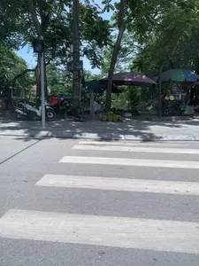 Bối cảnh là một con đường nhựa có vạch kẻ sang đường cho người đi bộ. Trên vỉa hè, dưới bóng mát của nhiều cây lớn, có một vài người bán hàng rong. Một người phụ nữ đang ngồi trên ghế thấp, bán một đống quả lớn màu xanh, có vẻ là mít. Gần đó là một quầy hàng di động khác trên xe đẩy, có tủ kính và trưng bày đồ ăn vặt, nổi bật là hai chiếc bánh tròn màu vàng. Các quầy hàng được che bằng những chiếc ô lớn. Một chiếc xe máy đang đỗ trên vỉa hè. Có một cột điện với một biển báo tên đường màu xanh ghi chữ "ĐƯỜNG HẠC THÀNH" và số "2", dù chữ hơi mờ. Một cột đèn tín hiệu giao thông cho người đi bộ đang bật đèn xanh. Phía sau các quầy hàng là cây cối và có thể nhìn thấy một mặt nước.。（日本語訳）。背景は、歩行者用の横断歩道があるアスファルトの道です。歩道の上、たくさんの大きな木の木陰に、何人かの露天商がいます。一人の女性が低い椅子に座って、緑色の大きな果物の山を売っていますが、それはジャックフルーツのようです。その近くには手押し車の上にある別の移動式屋台があり、ガラスケースがあってスナック菓子が陳列されています。目立っているのは2つの黄色い丸いケーキです。屋台は大きな傘で覆われています。一台のバイクが歩道に停まっています。一本の電柱があり、そこには「ĐƯỜNG HẠC THÀNH」という文字と「2」という数字が書かれた青い道路標識が付いていますが、文字は少しぼやけています。歩行者用の信号機が青信号になっています。屋台の後ろには木々があり、水面が見えます。