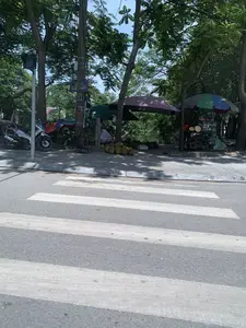 Bức ảnh chụp một con đường nhựa có vạch kẻ cho người đi bộ. Bên kia đường là vỉa hè dưới bóng râm của nhiều cây xanh lớn, nơi có một khu chợ cóc. Có một người phụ nữ đang ngồi bán một đống quả mít lớn được bày trên vỉa hè. Gần đó, một người bán hàng khác đứng cạnh một chiếc xe đẩy. Các quầy hàng được che bằng những chiếc ô lớn. Một chiếc xe máy đang đậu trên vỉa hè. Trên một cột điện có gắn biển báo đường phố màu xanh ghi chữ "HẠC THÀNH", các chữ khác không rõ. Cạnh đó là một cột đèn tín hiệu giao thông cho người đi bộ. Phía sau các quầy hàng là cây cối rậm rạp, có thể là bờ hồ hoặc bờ sông.。（日本語訳）。道路の向こう側には、大きな緑の木々の木陰になっている歩道があり、そこには露天市場があります。一人の女性が座って、歩道に並べられたたくさんの大きなジャックフルーツを売っています。その近くでは、別の売り子が屋台の隣に立っています。露店は大きな傘で覆われています。一台のバイクが歩道に停まっています。電柱には「HẠC THÀNH」と書かれた青い道路標識が取り付けられていますが、他の文字は不明瞭です。その隣には、歩行者用の信号機があります。露店の後ろには木々が鬱蒼と茂っており、湖岸か川岸である可能性があります。