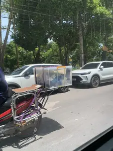 Cảnh chụp trên một con đường nhựa vào ban ngày. Ở phía trước, một người đang lái một chiếc xe máy màu đỏ, hiệu "SIRIUS". Chiếc xe máy này được gắn thêm một giá đỡ và kéo theo một chiếc xe kéo hai bánh tự chế. Trên xe kéo chở một thùng nhựa lớn, trong suốt, bên trong chứa đầy các loại đồ vật, có thể là hàng hóa hoặc đồ tái chế đang được vận chuyển. Dọc bên đường là hàng cây xanh rợp bóng mát, trên cây và dây điện có treo các dải đèn trang trí. Phía sau xe máy là hai chiếc ô tô màu trắng đang tham gia giao thông. Có thể nhìn thấy chữ "BEIJING" ở đầu một chiếc ô tô. Trên một cột điện ven đường có gắn biển báo nhỏ ghi số "2" nhưng các thông tin khác không rõ.。（日本語訳）。日中にアスファルトの道路で撮影された光景。前方には、一台の赤い「SIRIUS」というブランドのバイクを運転している人がいる。このバイクには荷台が取り付けられており、手作りの二輪リヤカーを牽引している。リヤカーには、透明な大きなプラスチック製の容器が積まれており、中には様々な種類の物、おそらく輸送中の商品またはリサイクル品が満載されている。道端に沿って、日陰を作る緑の並木があり、木々や電線には装飾用の帯状のライトが吊るされている。バイクの後方には、交通に参加している2台の白い自動車がいる。道端の電柱には、「2」という数字が書かれた小さな標識が取り付けられているが、その他の情報は不明である。