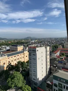 Bức ảnh chụp toàn cảnh một khu vực đô thị từ trên cao, có thể là thành phố Thanh Hóa, dưới bầu trời xanh và có mây. Khung cảnh cho thấy một khu dân cư đông đúc với nhiều tòa nhà san sát nhau.。- **Chữ viết:** Trên nóc một tòa nhà cao tầng màu trắng có dòng chữ "LAN ANH" màu đỏ. Ở góc dưới bên phải, có thể thấy một phần biển hiệu của cửa hàng "AUMART".。- **Cảnh vật và hoạt động:** Đây là một quang cảnh thành phố. Nổi bật là một tòa nhà cao tầng màu trắng và một công trình lớn màu vàng nhạt mang phong cách kiến trúc cổ điển, có thể là một nhà hát hoặc trung tâm văn hóa. Xung quanh là rất nhiều nhà ở với các mái nhà có màu sắc đa dạng. Xen kẽ giữa các tòa nhà là cây xanh. Trên mái của nhiều ngôi nhà có các bồn chứa nước bằng inox và các dàn nóng điều hòa. Ở phía xa, có thể nhìn thấy những dãy núi mờ ảo. Không có hoạt động cụ thể nào của con người được ghi lại rõ ràng do góc chụp từ xa.。（日本語訳）。青く雲のある空の下、上空から都市部（おそらくタインホア市）の全景を撮影した写真です。風景は、多くの建物が隣接する人口密集地を示しています。- **文字：**白い高層ビルの屋上には、赤い文字で「LAN ANH」と書かれています。右下隅には、「AUMART」という店の看板の一部が見えます。- **風景と活動：**これは都市の風景です。目立っているのは、白い高層ビルと、劇場または文化センターと思われる古典的な建築様式の薄黄色の大きな建造物です。周りには、様々な色の屋根を持つ住宅が非常に多くあります。建物の間には緑の木々が点在しています。多くの家の屋根の上には、ステンレス製の貯水タンクやエアコンの室外機があります。遠方には、ぼんやりとした山脈が見えます。遠くからの撮影角度のため、人間の具体的な活動ははっきりと記録されていません。