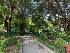 Đây là một khung cảnh trong một công viên công cộng. Một lối đi bộ được lát gạch xám uốn lượn giữa không gian rợp bóng cây xanh. Hai bên lối đi là các bồn cây với nhiều loại cây bụi và cây cọ nhỏ được trồng. Công viên có nhiều cây cổ thụ, nổi bật là một cây đa lớn với bộ rễ phụ đặc trưng rủ xuống. Ánh nắng chiếu qua tán lá, tạo ra những vệt bóng trên mặt đường, mang lại cảm giác yên bình. Ở phía xa, có thể thấy lờ mờ bóng người đang đi dạo. Một phần của chiếc ghế công viên và một nhà vệ sinh di động màu xanh cũng có thể được nhận thấy giữa các lùm cây. Một chiếc thang tre được dựa vào thân cây đa.。（日本語訳）。これは公共の公園の一場面です。灰色のタイルで舗装された遊歩道が、緑豊かな木陰の空間を蛇行しています。遊歩道の両側には、様々な種類の低木や小さなヤシの木が植えられた植え込みがあります。公園には多くの古木があり、中でも特徴的な気根を垂らした大きなガジュマルの木が目立ちます。太陽の光が木の葉を透かして差し込み、道に影の筋を作り出し、平穏な感覚をもたらします。遠くには、散歩している人々の姿がぼんやりと見えます。公園のベンチの一部と青い仮設トイレも、茂みの間に見ることができます。竹のはしごがガジュマルの木の幹に立てかけられています。