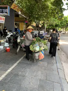 Bối cảnh là một con phố đô thị ở Việt Nam, có thể là ở Thanh Hóa, vào ban ngày. Trên vỉa hè lát gạch, một người phụ nữ bán hàng rong đang đứng cạnh chiếc xe đạp của mình. Bà đội nón lá, mặc áo sơ mi kẻ sọc và đeo khẩu trang màu cam. Chiếc xe đạp được chất đầy các loại rau củ tươi xanh để bán, bao gồm dưa chuột, bắp cải và các loại rau thơm, được sắp xếp gọn gàng trong một chiếc sọt lớn phía sau xe. Nhiều túi ni lông cũng được treo trên xe. Xung quanh có nhiều xe máy đang đậu. Ở phía sau, hai người phụ nữ khác đang đi bộ trên vỉa hè, và có những người đang ngồi trước một cửa hàng. Các cửa hàng ven đường có nhiều biển hiệu. Có thể đọc được một số nội dung trên các biển hiệu: một biển hiệu đèn LED có chữ '...ĐIỆN', '...T THO', 'Hàng Đồng'; một biển hiệu trắng ghi 'ĐỒNG PIN, THIẾT BỊ CẦM TAY'; một biển hiệu màu vàng ghi 'Cô Hồng CHUYÊN KINH DOANH PHỤ GIA CÁC LOẠI'; và một biển hiệu khác ghi '84 HÀNG ĐỒNG'. Cảnh tượng thể hiện một hoạt động buôn bán thường ngày trên đường phố Việt Nam.。（日本語訳）。背景はベトナムの都市の路上、おそらくタインホア省の昼間です。レンガ敷きの歩道の上で、一人の露天商の女性が自分の自転車の隣に立っています。彼女はノンラーをかぶり、ストライプのシャツを着て、オレンジ色のマスクをしています。自転車には、きゅうり、キャベツ、各種ハーブを含む、販売用の新鮮な青野菜が満載されており、自転車の後ろにある大きなカゴの中にきれいに並べられています。多くのビニール袋も自転車に掛けられています。周りには多くのバイクが駐車しています。後ろでは、別の女性二人が歩道を歩いており、店の前に座っている人々がいます。道沿いの店には多くの看板があります。看板のいくつかの内容を読むことができます。あるLED看板には「...ĐIỆN」、「...T THO」、「Hàng Đồng」の文字があります。白い看板には「ĐỒNG PIN, THIẾT BỊ CẦM TAY」（電池、携帯機器）と書かれています。黄色い看板には「Cô Hồng CHUYÊN KINH DOANH PHỤ GIA CÁC LOẠI」（ホンさん 各種添加物専門販売）と書かれています。そして、別の看板には「84 HÀNG ĐỒNG」（ハンドン通り84番地）と書かれています。この光景は、ベトナムの路上での日常的な商売の様子を表しています。