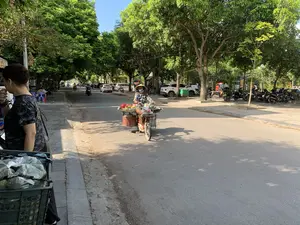 Bức ảnh chụp một con đường đô thị rợp bóng cây xanh ở Thanh Hóa vào một ngày nắng. Ở trung tâm bức ảnh, một người phụ nữ đội nón lá, đeo khẩu trang đang đi một chiếc xe đạp được dùng để bán hàng rong. Trên xe đạp có những chiếc sọt chứa đầy hoa quả, có thể thấy rõ thanh long và ổi. Hai bên đường là vỉa hè, có cây cối và các phương tiện khác như xe máy và ô tô đang đỗ. Ở phía xa, có thể thấy một vài người đang ngồi trên ghế nhựa trên vỉa hè, có thể là một quán nước vỉa hè. Ở góc dưới bên trái, có một thùng nhựa lớn đựng các loại quả màu xanh được bọc trong túi ni lông. Có một số biển hiệu của cửa hàng nhưng chữ viết không thể đọc rõ, chỉ có một biển hiệu có vẻ như ghi chữ "CƠM". Khung cảnh thể hiện một hoạt động sinh hoạt và buôn bán đường phố đặc trưng của Việt Nam.。（日本語訳）。写真は、ある晴れた日のタインホア省にある、緑の木々が影を落とす都市の通りを写したものです。写真の中央では、ノンラーをかぶりマスクを着けた一人の女性が、物売りに使われる自転車に乗っています。自転車の上には果物でいっぱいの籠があり、ドラゴンフルーツとグアバがはっきりと見えます。通りの両側には歩道があり、木々や、バイクや自動車などの他の乗り物が駐車しています。遠くには、歩道でプラスチックの椅子に座っている数人の人々が見え、おそらく歩道の飲み物屋でしょう。左下隅には、ビニール袋に包まれた緑色の果物が入った大きなプラスチックの容器があります。いくつかの店の看板がありますが、文字ははっきりと読めません。ただ一つの看板に「CƠM」という文字が書かれているように見えます。この光景は、ベトナム特有の生活の営みと路上での商売を表しています。
