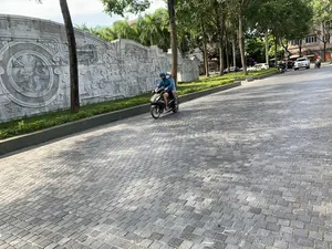 Khung cảnh trên một con đường được lát đá khối trong một thành phố. Hai người đang đi trên một chiếc xe máy, người lái xe mặc áo khoác màu xanh và đeo khẩu trang, người ngồi sau đội mũ bảo hiểm. Bên trái đường là một bức tường đá lớn, được trang trí bằng các bức phù điêu tinh xảo. Các bức phù điêu này mô tả các cảnh dường như là lịch sử hoặc thần thoại, nổi bật là một huy hiệu hình tròn có chạm khắc hình rồng. Dọc theo con đường có nhiều cây xanh. Ở phía sau, có các phương tiện khác như ô tô và xe máy đang lưu thông, cùng với các tòa nhà. Trên một tòa nhà ở phía xa có dòng chữ nhưng chỉ đọc được một phần, có vẻ là '...TỈNH HÓA'.。（日本語訳）。ある都市の、石畳で舗装された道での風景。二人がバイクに乗っており、運転手は青いジャケットを着てマスクをし、後ろに乗っている人はヘルメットをかぶっている。道の左側には大きな石の壁があり、精巧なレリーフで装飾されている。これらのレリーフは歴史的または神話的な場面を描写しているようで、特に目立つのは龍の彫刻が施された円形の紋章である。道沿いには多くの緑の木がある。後方には、自動車やバイクなどの他の車両が通行しており、建物もある。遠くの建物には文字があるが、一部しか読み取れず、「...TỈNH HÓA」のようだ。