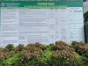 Đây là hình ảnh chụp cận cảnh một tấm bảng thông báo lớn của Ngân hàng Chính sách xã hội, chi nhánh tỉnh Thanh Hóa, được đặt ở ngoài trời. Phía dưới chân bảng có các bụi cây cảnh. Toàn bộ văn bản trên bảng đều bằng tiếng Việt.。Nội dung chính được ghi trên bảng:。1.  **Tiêu đề chính:** Phía trên cùng là tên đơn vị "NGÂN HÀNG CHÍNH SÁCH XÃ HỘI - CHI NHÁNH TỈNH THANH HÓA" cùng logo VBSP và khẩu hiệu "Thấu hiểu lòng dân, tận tâm phục vụ". Tiêu đề lớn của thông báo là "THÔNG BÁO - CÁC CHƯƠNG TRÌNH TÍN DỤNG CHO VAY VÀ LÃI SUẤT HUY ĐỘNG TIỀN GỬI".。2.  **Bảng chương trình cho vay:** Một bảng biểu lớn liệt kê 13 chương trình tín dụng khác nhau. Các cột trong bảng bao gồm "TT" (số thứ tự), "Tên chương trình vay", "Đối tượng khách hàng thụ hưởng", "Thời hạn cho vay tối đa", "Lãi suất cho vay", và "Mức cho vay tối đa". Các chương trình ví dụ như "Cho vay hộ nghèo", "Cho vay học sinh sinh viên (HSSV)", "Cho vay hỗ trợ tạo việc làm", v.v.。3.  **Bảng lãi suất tiền gửi:** Một bảng nhỏ hơn ở phía bên phải có tiêu đề "QUY ĐỊNH LÃI SUẤT TIỀN GỬI". Bảng này quy định lãi suất tối đa áp dụng cho khách hàng cá nhân và tổ chức theo các kỳ hạn khác nhau như "Không kỳ hạn", "Kỳ hạn 01 tháng", "Kỳ hạn từ 3 tháng đến dưới 6 tháng", v.v.。**Hoạt động:** Không có người hay hoạt động nào diễn ra trong ảnh. Đây là một cảnh tĩnh, mục đích là để cung cấp thông tin công khai về các chính sách tín dụng và lãi suất của ngân hàng cho người dân.。（日本語訳）。これは、屋外に設置された社会政策銀行タインホア省支店の大きな告知板のクローズアップ写真です。告知板の下には観賞用の植え込みがあります。告知板上の文章はすべてベトナム語です。告知板に記載されている主な内容：。1.  **主な見出し:** 最上部には、機関名「社会政策銀行 - タインホア省支店」とVBSPのロゴ、そして「民の心を理解し、心を込めて奉仕する」というスローガンがあります。告知の大きな見出しは「通知 - 融資信用プログラムと預金金利」です。2.  **融資プログラム表:** 13の異なる信用プログラムをリストアップした大きな表があります。表の列には、「TT」（通し番号）、「融資プログラム名」、「対象顧客」、「最長貸付期間」、「貸付金利」、および「最大融資額」が含まれます。プログラムの例としては、「貧困世帯向け融資」、「学生向け融資（HSSV）」、「雇用創出支援融資」などがあります。3.  **預金金利表:** 右側には「預金金利規定」という見出しの小さな表があります。この表は、「無期限」、「1ヶ月定期」、「3ヶ月以上6ヶ月未満の定期」など、さまざまな期間に応じて個人および法人の顧客に適用される最大金利を規定しています。**活動:** 写真の中には人や活動はありません。これは静的な光景であり、その目的は、銀行の信用政策と金利に関する公開情報を人々に提供することです。