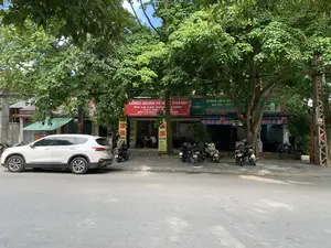 Khung cảnh chụp một con phố vào ban ngày, có thể là ở thành phố Thanh Hóa, với nhiều cây xanh lớn tỏa bóng mát. Dọc vỉa hè là một dãy các quán ăn, nhà hàng liền kề. Một chiếc ô tô màu trắng và nhiều xe máy đang đỗ ở phía trước. Có một vài thực khách đang ngồi bên trong một quán ăn. Các biển hiệu có thể đọc được bao gồm:。- Biển hiệu màu đỏ: 'LÒNG QUÁN 02 HẠC THÀNH', chuyên 'BIA VÀ CÁC MÓN', 'CHÁO LÒNG - LẨU', 'BÁN CẢ NGÀY'. Địa chỉ: '02 HẠC THÀNH - P. TÂN SƠN - TP. THANH HOÁ'.。- Biển hiệu dọc màu vàng: 'CHÁO LÒNG', 'BÁN MANG VỀ', 'SHIP TẬN NƠI' và liệt kê các món như 'CANH DÁNG', 'DỒI SỤN', 'LÒNG XÀO DƯA'.。- Biển hiệu màu xanh lá: 'NHÀ HÀNG', 'HABECO', 'BIA HƠI - BIA CHAI', 'BÚN - PHỞ: BÒ - NGAN...'.。- Biển hiệu màu xanh dương: 'Nhà hàng Thơm Hải 02 Hạc Thành', 'BÚN PHỞ: BÒ - NGAN - CHÂN GIÒ'.。（日本語訳）。日中の通りを撮影した風景で、おそらくタインホア市だと思われます。大きな緑の木々がたくさんあり、涼しい木陰を作っています。歩道沿いには、食堂やレストランが軒を連ねています。手前には白い車1台と多くのバイクが駐車しています。ある食堂の中には数人の客が座っています。読み取れる看板には以下のものが含まれます：。- 赤い看板：「LÒNG QUÁN 02 HẠC THÀNH」、専門は「ビールと各種料理」、「豚モツ粥 - 鍋」、「終日営業」。住所：「02 HẠC THÀNH - P. TÂN SƠN - TP. THANH HOÁ」（タインホア市タンソン坊ハクタン通り02番地）。- 黄色い縦長の看板：「豚モツ粥」、「お持ち帰り」、「宅配」、そして「カイン・ダン」、「ゾイ・スン（軟骨ソーセージ）」、「ロン・サオ・ズア（豚モツと漬物の炒め物）」といった料理がリストアップされています。- 緑色の看板：「レストラン」、「HABECO」、「生ビール - 瓶ビール」、「ブン - フォー：牛肉 - アヒル...」。- 青い看板：「Nhà hàng Thơm Hải 02 Hạc Thành」（トムハイ食堂 02 ハクタン）、「ブン・フォー：牛肉 - アヒル - 豚足」。