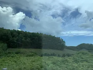 写真は、山がちな農村地帯の自然風景を撮影したものです。写真の中心は、緑豊かな丘の斜面です。丘の斜面の中腹は農地で、おそらくパイナップル畑であり、作物がまっすぐな畝に植えられています。耕作地の上には、鬱蒼とした森があります。その上の空は青く、大きな白い雲がたくさん浮かんでいます。前景では、草木が少しぼやけており、写真が移動中の乗り物から撮影された可能性を示唆しています。写真には文字や人物は見られません