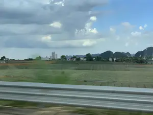 Bức ảnh chụp phong cảnh vùng nông thôn ở Thanh Hóa, nhìn từ một phương tiện đang di chuyển. Ở tiền cảnh, có một dải hộ lan đường bộ bằng kim loại bị mờ do chuyển động. Ở trung cảnh là những cánh đồng nông nghiệp rộng lớn, có thể là ruộng dứa, với màu xanh trải dài. Xa hơn một chút là một khu dân cư với vài ngôi nhà và một nhà máy công nghiệp lớn, có khả năng là nhà máy xi măng, với các cấu trúc silo cao. Phông nền của bức ảnh là dãy núi đá vôi đặc trưng của khu vực. Bầu trời có mây, xen kẽ giữa những đám mây xám và khoảng trời xanh.。（日本語訳）。タインホア省の田舎の風景を、移動中の乗り物から撮影した写真。前景には、動きによってぼやけた金属製の道路ガードレールがある。中景には、広大な農地があり、おそらくはパイナップル畑で、緑が広がっている。少し遠くには、いくつかの家がある住宅地と、おそらくはセメント工場と思われる、高いサイロ構造物を持つ大きな工場がある。写真の背景は、この地域特有の石灰岩の山脈である。