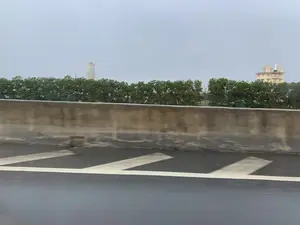 Bức ảnh được chụp từ một phương tiện đang di chuyển trên đường cao tốc hoặc cầu vượt, nhìn qua một dải phân cách bằng bê tông. Mặt đường nhựa ướt có các vạch kẻ đường màu trắng. Ở phía xa, sau một hàng cây xanh rậm rạp, có hai công trình kiến trúc nổi bật dưới bầu trời u ám. Bên trái là một tháp công nghiệp hình trụ cao, có thể là một silo, với phần đỉnh được sơn họa tiết ô cờ đỏ và trắng. Bên dưới họa tiết có dòng chữ, một phần có thể đọc được là "B.DNB...". Bên phải là một tòa nhà lớn, nhiều tầng, màu vàng nhạt, có kiến trúc cổ điển và trên nóc nhà có một bức tượng màu trắng, gợi liên tưởng đến một công trình tôn giáo hoặc một biệt thự lớn.。（日本語訳）。写真は、高速道路または高架橋を走行中の車両から、コンクリート製の中央分離帯越しに撮影されたものです。濡れたアスファルトの路面には、白い車線が引かれています。遠方には、鬱蒼と茂る緑の木々の後ろに、曇り空の下で際立つ2つの建築物があります。左側には、円筒形の高い産業用の塔があり、サイロかもしれません。その頂上部分は赤と白の市松模様で塗装されています。模様の下には文字があり、その一部は「B.DNB...」と読み取れます。右側には、淡い黄色の大きな多層階の建物があり、古典的な建築様式で、屋根の上には白い像が置かれており、宗教施設または大きな邸宅を連想させます。