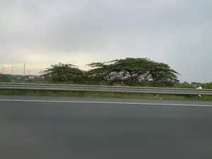 Hình ảnh được chụp từ một phương tiện đang di chuyển trên một con đường nhựa. Bên đường có một hàng rào chắn bằng kim loại. Phía sau hàng rào là một khu vực có cây cối xanh tươi. Ở phía xa, có thể nhìn thấy một vài ngôi nhà và các cột đèn dưới bầu trời u ám, nhiều mây. Không có hoạt động cụ thể nào của con người và không có văn bản nào có thể đọc được.。（日本語訳）。画像は、アスファルトの道路を移動中の乗り物から撮影されたものです。道路の脇には、金属製のガードレールがあります。ガードレールの後ろには、緑豊かな木々が生い茂るエリアがあります。遠くには、どんよりと曇った空の下に、いくつかの家と電柱が見えます。特定の人間の活動はなく、読み取れる文字もありません。