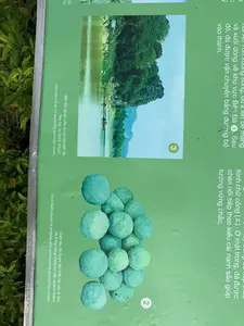 Đây là một tấm biển thông tin màu xanh lá cây, có chữ viết bằng cả tiếng Việt và tiếng Anh, được đặt ngoài trời bên cạnh cây cối. Biển báo này cung cấp thông tin về một địa điểm lịch sử, có thể là Thành nhà Hồ.。Nội dung được ghi lại như sau:。- Văn bản tiếng Việt:。- '...xuôi dòng về khu vực Bến Đá ③. Sau đó, đá được vận chuyển bằng đường bộ vào thành.'。- '...hình chữ công (工). Ở mặt trong, đá được chèn nối tiếp theo kiểu cài nanh sấu giúp tường vững chắc.'。- 'Bến Đá được cho là nơi tập kết đá'。- 'Con lăn đá được tìm thấy tại các di tích và trong cộng đồng cư dân quanh thành'。- Văn bản tiếng Anh:。- 'Ben Da, or Stone Wharf, once served as an assembly point for stone.'。- 'Stone balls found in temples and communities around the citadel'。- Hình ảnh:。- Hình 2: Chụp các vật thể hình cầu bằng đá màu xanh lục, được chú thích là 'Con lăn đá'.。- Hình 3: Chụp một khung cảnh sông nước với núi đá và cây cối. Có vài chiếc thuyền nhỏ trên sông. Địa điểm này được chú thích là 'Bến Đá', một nơi tập kết đá.。（日本語訳）。これは緑色の案内板で、ベトナム語と英語の両方で書かれており、木々の隣の屋外に設置されています。この看板は、おそらく胡朝の城塞である史跡に関する情報を提供しています。記録されている内容は以下の通りです。- ベトナム語のテキスト：。- 「...川を下ってベン・ダー（Bến Đá）③地区へ。その後、石は陸路で城内に運ばれました。」。- 「...「工」の字の形。内側では、石がワニの歯をはめ込む様式で連続してはめ込まれており、壁を強固にしています。」。- 「ベン・ダー（Bến Đá）は石の集積所であったとされています」。- 「石のローラーは、遺跡や城周辺の住民コミュニティで発見されています」。- 英語のテキスト：。- 「ベン・ダー、または石の埠頭は、かつて石の集積所として機能していました。」。- 「城塞周辺の寺院やコミュニティで発見された石の球」。- 画像：。- 写真2：緑がかった石でできた球形の物体を撮影したもので、「石のローラー」というキャプションが付いています。- 写真3：岩山と木々のある川の風景を撮影したもの。川には数隻の小舟が浮かんでいます。この場所は、石の集積所である「ベン・ダー（Bến Đá）」というキャプションが付いています。