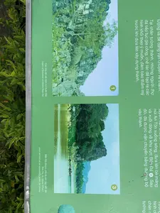 Đây là một bảng thông tin màu xanh lá cây đặt ngoài trời, có thể tại một khu di tích lịch sử, giải thích về quy trình khai thác và vận chuyển đá để xây dựng thành. Văn bản trên bảng bao gồm cả tiếng Việt và tiếng Anh.。Nội dung chữ viết tiếng Việt có thể đọc được:。- Đoạn 1: "Tại chân tường thành, những người thợ đá tiếp tục gia công, chế tác để tạo ra các hình khối theo ý muốn, đảm bảo thẩm mỹ trước khi đưa lên xây dựng thành."。- Đoạn 2: "...núi An Tôn xuống sông, đưa lên bè mảng và xuôi dòng về khu vực Bến Đá ③. Sau đó, đá được vận chuyển bằng đường bộ vào thành."。- Chú thích ảnh 1: "Các lớp đá vôi trên núi Xuân Đài"。- Chú thích ảnh 3: "Bến Đá được cho là nơi tập kết đá"。Cảnh vật và hoạt động được mô tả trên bảng:。- Bảng thông tin mô tả quy trình xây dựng một công trình thành cổ. Đá được khai thác từ núi (núi An Tôn, núi Xuân Đài), sau đó được thợ đá gia công.。- Hoạt động vận chuyển: Đá được đưa lên bè mảng trên sông và vận chuyển xuôi dòng đến một địa điểm gọi là Bến Đá. Từ đó, đá tiếp tục được vận chuyển bằng đường bộ vào nơi xây thành.。- Hình ảnh trên bảng: Có hai bức ảnh được đánh số. Ảnh số 1 cho thấy một vách núi đá vôi (núi Xuân Đài). Ảnh số 3 cho thấy một bến sông (Bến Đá) với một vài chiếc thuyền hoặc bè mảng, đây là nơi tập kết đá.。（日本語訳）。これは屋外に設置された緑色の案内板で、おそらく史跡にあり、城を建設するための石の採掘と運搬の工程について説明しています。板上の文章はベトナム語と英語の両方を含みます。読み取れるベトナム語の文章内容：。- 第1段落：「城壁の麓で、石工たちは加工、製作を続け、望み通りの形状を作り出し、城の建設に使われる前に美観を確保します。」。- 第2段落：「…アントン山から川へ下ろし、いかだに乗せ、そして川を下ってベンダー③地区へ向かいます。その後、石は陸路で運ばれ城内へ入ります。」。- 写真1のキャプション：「スアンダイ山の石灰岩層」。- 写真3のキャプション：「ベンダーは石の集積場所とされている」。板に描かれている風景と活動：。- 案内板は古い城の建設工程を説明しています。石は山（アントン山、スアンダイ山）から採掘され、その後、石工によって加工されます。- 運搬活動：石は川でいかだに乗せられ、川を下ってベンダーと呼ばれる場所まで運ばれます。そこから、石は引き続き陸路で城の建設場所へ運ばれます。- 板上の写真：番号が付けられた2枚の写真があります。写真1は石灰岩の崖（スアンダイ山）を示しています。写真3は川の船着き場（ベンダー）を示しており、いくつかの船やいかだがあり、ここが石の集積場所です。