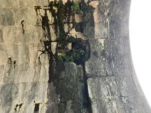 Hình ảnh chụp cận cảnh một phần của một công trình kiến trúc bằng đá cổ, có thể là một bức tường thành hoặc một vòm cầu. Bề mặt được ghép từ những khối đá lớn, đã bị phong hóa theo thời gian. Có những vệt nước sẫm màu chảy dài trên bề mặt đá, và rêu cùng cây dương xỉ mọc trong các kẽ hở và những chỗ bị vỡ. Một bụi dương xỉ nhỏ mọc ra từ một hốc đá. Không có chữ viết hay hoạt động của con người trong ảnh.。（日本語訳）。古い石造りの建築物の一部を接写した写真で、城壁かアーチ橋の可能性があります。表面は大きな石のブロックで組まれており、時間とともに風化しています。石の表面には暗い色の水の筋が長く流れ、苔やシダが隙間や壊れた箇所に生えています。小さなシダの株が石のくぼみから生えています。写真には文字や人間の活動は見られません。