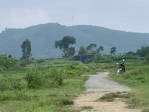 Đây là một khung cảnh nông thôn. Ở trung tâm là một con đường đất nhỏ chạy quanh co qua những cánh đồng cỏ xanh mướt. Bên phải đường có một chiếc xe máy đang đỗ. Xung quanh là cây cối và thảm thực vật, bao gồm cả cây chuối. Ở phía xa là một ngôi nhà nhỏ và xa hơn nữa là một dãy núi lớn, mờ ảo dưới bầu trời xám, nhiều mây. Trên đỉnh núi có một cột ăng-ten hoặc cột thu phát sóng. Không có người nào được nhìn thấy trong hình.。（日本語訳）。これは田舎の風景です。中央には、青々とした草原を曲がりくねって続く小さな未舗装の道があります。道の右側にはバイクが一台停まっています。周りには木々や植物があり、バナナの木も含まれています。山の頂上にはアンテナまたは電波塔があります。写真には誰も写っていません。