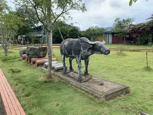 Bối cảnh là một không gian ngoài trời như công viên hoặc khu vực trưng bày, có bãi cỏ xanh và nhiều cây cối. Đối tượng chính là một bức tượng con trâu bằng xi măng sơn đen, có kích thước như thật, đang đứng trên một bệ bê tông. Lớp sơn của bức tượng đã bị bong tróc ở nhiều chỗ. Bên cạnh bức tượng là một hàng ghế được tạo hình từ những khối đá lớn đặt trên các trụ xi măng hình trụ. Phía sau là các tòa nhà một tầng, cây cối và một giàn hoa giấy màu hồng. Có một số biển hiệu ở phía xa nhưng chữ viết không thể đọc rõ hoàn toàn, tuy nhiên có thể nhận ra các từ như "OCOP VIỆT NAM" và "ĐẶC SẢN", cho thấy đây có thể là một điểm dừng chân hoặc khu vực bán sản phẩm địa phương. Không có hoạt động của con người trong ảnh.。（日本語訳）。背景は公園や展示エリアのような屋外空間で、緑の芝生と多くの木々があります。主な対象物は、黒く塗られたセメント製の等身大の水牛の像で、コンクリートの台座の上に立っています。像の塗装は多くの箇所で剥がれています。像の隣には、円筒形のセメントの柱の上に置かれた大きな石の塊でできたベンチの列があります。後ろには平屋の建物、木々、そしてピンク色のブーゲンビリアの棚があります。遠くにいくつかの看板がありますが、文字は完全にはっきりと読むことはできません。しかし、「OCOP VIỆT NAM」や「ĐẶC SẢN」（特産品）といった言葉が認識でき、ここが休憩所または地元の産品を販売するエリアであることを示唆しています。写真には人間の活動はありません。