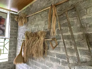 写真は、素朴なレンガの壁がある家の中の一角を写したものです。壁には一本の竹竿が掛かっており、農村地域特有の道具や農産物を展示するために使われています。目立つのは、黄金色に輝く乾燥した稲の束や、保存または装飾のために吊るされた乾燥トウモロコシの穂です。その傍らには、藁ぼうき、古い手鋸、そして木製の馬鍬のような道具といった伝統的な農具があります。この光景は農業生活の色合いを濃く帯びており、ベトナムの伝統的な農家の空間を思い起こさせます