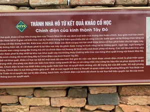 Bức ảnh chụp một tấm biển thông tin tại một địa điểm di tích lịch sử, cụ thể là Thành nhà Hồ ở Thanh Hóa. Tấm biển có nền màu nâu, chữ trắng, được đặt trước một bức tường xây bằng gạch cổ. Nội dung trên biển cung cấp thông tin chi tiết về kết quả khảo cổ học tại đây.。Toàn văn nội dung trên biển như sau:。(Logo có chữ: THE HO CITADEL, THÀNH NHÀ HỒ, DI SẢN VĂN HÓA THẾ GIỚI)。THÀNH NHÀ HỒ TỪ KẾT QUẢ KHẢO CỔ HỌC。Chính điện của kinh thành Tây Đô。Khai quật, khảo cổ học khu trung tâm của Thành Nhà Hồ đã xác định một kiến trúc trung tâm hoàn chỉnh, bao gồm một tòa chính điện được bố trí 9 gian với kiến trúc cực kỳ hoành tráng thể hiện qua chiều dài và rộng của các bước gian và hệ thống chân tảng và móng cột đặc trưng thời Hồ. Kiến trúc chính điện được xác định có quy mô lớn nhất được khảo cổ học phát hiện cho tới ngày nay. Hệ thống hiện vật, di vật được phát lộ tại khu vực này đa phần được trang trí hình rồng và hệ thống gạch, ngói lợp, ngói trang trí nhuộm men vàng mang đặc trưng mà chỉ có chính điện nơi Hoàng đế thiết triều mới được phép sử dụng. Các vật liệu kiến trúc nêu trên được phát lộ duy nhất tại khu vực khai quật này mà không thấy ở bất kỳ kiến trúc nào từng khai quật trong nội thành Nhà Hồ, đã minh chứng rất rõ nét rằng đây là Chính Điện của kinh thành Tây Đô.。Đối với khai quật, khảo cổ học tại bất kể một kinh đô nào trên thế giới thì việc xác định được chính điện chính là phát hiện quan trọng nhất, cho phép xác định các kiến trúc khác xung quanh để tạo cơ sở vững chắc cho công tác bảo tồn và phục dựng kinh đô đó. Chính điện là nơi vua thiết triều cùng quần thần bàn bạc và quyết định những vấn đề trọng đại của đất nước. Về mặt phong thủy, Chính điện là nơi thông thiên giữa trời - đất và con người bởi theo lý thuyết và quan niệm của phương Đông thì Vua được coi là Thiên tử có quyền lực cai trị dân chúng, bách tính, và Chính điện của kinh đô chính là nơi Vua thể hiện quyền lực đó của mình thông qua các quyết sách.。（日本語訳）。写真は、歴史的遺跡、具体的にはタインホア省の胡朝の城塞にある案内板を写したものです。案内板は茶色の背景に白文字で、古いレンガで造られた壁の前に設置されています。板に書かれた内容は、ここでの考古学的調査の結果に関する詳細な情報を提供しています。板に書かれた内容の全文は以下の通りです。（ロゴには「THE HO CITADEL、THÀNH NHÀ HỒ、DI SẢN VĂN HÓA THẾ GIỚI（胡朝の城塞、世界文化遺産）」と書かれています）。考古学的調査結果から見た胡朝の城塞。西都（タイドー）京城の正殿。胡朝の城塞の中心区域の発掘・考古学調査により、完全な中心建築が特定されました。これには、9つの間（ま）を持つ正殿が含まれ、その極めて壮大な建築様式は、各間の長さと幅、そして胡朝時代特有の礎盤と柱の基礎システムによって示されています。この正殿建築は、今日までに考古学的に発見された中で最大規模のものであると特定されています。この地域で出土した遺物・遺構のシステムは、その大部分が龍の文様で装飾されており、また、皇帝が朝政を行う正殿でのみ使用が許されるという特徴を持つ、黄色の釉薬で染められたレンガ、屋根瓦、装飾瓦のシステムを有しています。上記の建築材料は、この発掘区域でのみ出土し、胡朝の城塞内でこれまでに発掘された他のどの建築物からも見つかっていないことから、ここが西都京城の正殿であったことを非常に明確に証明しています。世界中のいかなる都城の発掘・考古学調査においても、正殿を特定することは最も重要な発見であり、それによって周囲の他の建築物を特定し、その都城の保存・復元作業のための強固な基盤を築くことができます。正殿は、王が群臣と共に国の重大な問題を議論し、決定する朝政の場です。風水的には、正殿は天・地・人をつなぐ場所です。なぜなら、東洋の理論と観念によれば、王は天子と見なされ、民衆、百性を治める権力を持つとされ、都城の正殿こそが、王がその権力を政策決定を通じて示す場所だからです。
