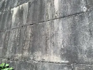 Hình ảnh chụp cận cảnh một bức tường đá cổ. Bức tường được xây dựng từ những khối đá lớn, hình chữ nhật, xếp chồng lên nhau. Bề mặt đá đã cũ và bị phong hóa, có những vệt sẫm màu chạy dọc xuống do tác động của thời gian và thời tiết. Giữa các khối đá có những đường mạch vữa và kẽ nứt, nơi một vài cây cỏ dại đang mọc lên. Ở góc dưới bên trái có thể thấy một vài chiếc lá cây màu xanh. Không có chữ viết hay hoạt động của con người được ghi lại. Dựa trên bối cảnh, đây có thể là một phần của bức tường thành tại di tích Thành nhà Hồ.。（日本語訳）。古い石壁のクローズアップ写真。壁は、積み重ねられた大きな長方形の石のブロックで造られている。石の表面は古く風化しており、時間と天候の影響で縦に走る暗い色の筋がある。石のブロックの間にはモルタルの目地やひび割れがあり、そこからいくつかの雑草が生えている。文字や人間の活動は記録されていない。文脈から判断すると、これは胡朝の城跡の城壁の一部である可能性がある。