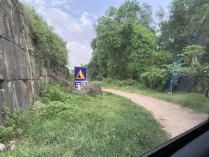 Hình ảnh chụp một con đường đất nhỏ ở vùng nông thôn. Bên trái là một bức tường đá cổ, cao và kiên cố, được xây bằng những khối đá lớn, có cây cỏ mọc um tùm trên bề mặt, có khả năng là một phần của di tích Thành nhà Hồ. Ở giữa, có một biển báo giao thông màu xanh với hình tam giác cảnh báo màu vàng bên trong. Trên biển báo có dòng chữ 'KHU VỰC SẠT LỞ NGUY HIỂM', cảnh báo về nguy cơ đá lở. Phần chữ phía dưới biển báo bị mờ, không đọc được. Bên phải con đường là cây cối rậm rạp. Phía trên có thể thấy đường dây điện và bầu trời xanh có mây. Khung cảnh vắng vẻ, không có người hay hoạt động nào diễn ra.。（日本語訳）。田舎の小さな未舗装の道を写した写真。左側には、古く、高く、頑丈な石垣があり、大きな石のブロックで造られ、表面には草木が生い茂っており、胡朝の城跡の一部である可能性がある。中央には、青い交通標識があり、その内側には黄色い警告の三角形が描かれている。標識には「KHU VỰC SẠT LỞ NGUY HIỂM」（危険な地滑り区域）という文字があり、落石の危険を警告している。標識の下の部分の文字はぼやけていて、読むことができない。道の右側は木々が鬱蒼と茂っている。人けのない風景で、人や活動は見られない。