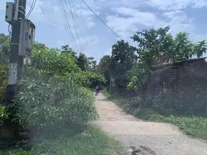 Bức ảnh chụp một con ngõ nhỏ ở một vùng nông thôn. Con đường là đường đất và bê tông, hai bên là cây cối xanh tươi và một bức tường gạch cũ. Ở phía xa, có một người đang đi xe đạp trên đường. Bầu trời trong xanh, có mây trắng. Ở phía bên trái, có một cột điện bê tông với nhiều dây điện. Trên cột điện có sơn các ký tự "1.22 T9" và dán một tờ quảng cáo với số điện thoại "0973.229.629".。（日本語訳）。写真は、ある田舎の小さな路地を写したものです。道は土とコンクリートでできており、両側には青々とした木々と古いレンガの壁があります。遠くには、道を自転車で走っている人が一人います。空は青く澄んでおり、白い雲が浮かんでいます。左側には、たくさんの電線がついたコンクリートの電柱があります。電柱には「1.22 T9」という文字が塗装され、「0973.229.629」という電話番号が書かれた広告が貼られています。