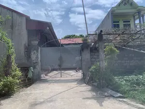 Bức ảnh chụp lối vào một khu nhà ở vùng nông thôn dưới bầu trời có mây. Ở trung tâm là một chiếc cổng sắt lớn, hai cánh, màu xám, được làm bằng tấm kim loại đột lỗ ở phần trên và song sắt ở phần dưới. Con đường dẫn vào cổng được đổ bê tông.。Hai bên cổng là hai ngôi nhà có kiến trúc khác nhau. Bên trái là một ngôi nhà cấp bốn cũ hơn với tường bê tông đã bạc màu và mái lợp tôn đỏ. Trên một trụ cột bên cạnh cổng có đặt một chậu cây cảnh. Bên phải là một ngôi nhà hai tầng hiện đại hơn, được sơn màu xanh lá cây nhạt và vàng, với các cột trụ màu xanh lam. Phía trước ngôi nhà này có một giàn cây bằng tre với các cành cây khô.。Xung quanh có nhiều cây cối và thảm thực vật. Bên trái lối vào có một hàng rào tre nhỏ và các cây leo. Phía sau cánh cổng, có thể nhìn thấy một phần của một người đang ở trong sân.。（日本語訳）。曇り空の下、田舎にある住宅地への入り口を撮影した写真です。中央には、上部がパンチングメタル、下部が鉄格子でできた、灰色の大きな両開きの鉄の門があります。門へと続く道はコンクリートで舗装されています。門の両側には、建築様式の異なる2軒の家があります。左側には、色褪せたコンクリートの壁と赤いトタン屋根を持つ、より古い平屋の家があります。門の隣の柱の上には、観葉植物の鉢が置かれています。右側には、薄緑色と黄色に塗られ、青い柱を持つ、より近代的な2階建ての家があります。この家の前には、枯れ枝が乗った竹製の棚があります。周りには多くの木々や植物があります。入り口の左側には、小さな竹の柵とつる植物があります。門扉の後ろには、庭にいる人の一部が見えます。