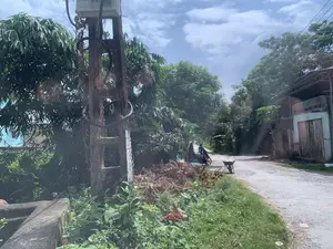 これは、農村地域の小さな村道の写真です。コンクリートの道は古く、平らではありません。道の両側には、木々が青々と生い茂っています。左手前には、電線とメーターボックスが付いた古いコンクリートの電柱があります。電柱の根元には、乾いた木の根と雑草の山があります。右側には古い家があります。道の遠くには、バイクに乗った2人の人がいます。その近くには、何か白いものを運んでいる手押し車（一輪車）があります。空は青く澄み、雲があり、晴れた日であることがわかります。読み取れる文字や標識はありません