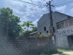 Bức ảnh chụp một khung cảnh tại một khu dân cư, có thể là ở vùng nông thôn hoặc ngoại ô. Phía trước là một bức tường xây bằng gạch bê tông đã cũ. Đằng sau bức tường là một ngôi nhà bê tông nhiều tầng chưa được tô trát hoàn thiện, với các ô cửa sổ để trống. Có nhiều cây cối xanh tươi, bao gồm một cây đu đủ cao vươn lên trên bức tường. Một cột điện bê tông đứng sừng sững với mạng lưới dây điện và cáp viễn thông chằng chịt. Trên một cây cột nhỏ bên cạnh có dán một mảnh giấy trắng ghi số "2.3" và chữ "Tg" hoặc "T9" nhưng không rõ. Bên phải, có thể thấy một phần của một ngôi nhà khác và một chiếc cổng sắt đang dựa vào tường. Bầu trời trong xanh, có nhiều mây trắng.。（日本語訳）。写真は、ある住宅地の一場面を撮影したもので、田舎か郊外の可能性があります。手前には、古くなったコンクリートブロックで造られた壁があります。壁の後ろには、漆喰が塗り終わっていない複数階建てのコンクリートの家があり、窓の開口部は空いたままです。壁の上に高く伸びるパパイヤの木をはじめ、青々とした木々がたくさんあります。一本のコンクリート製の電柱がそびえ立ち、電線や通信ケーブルが複雑に張り巡らされています。隣の小さな柱には、「2.3」という数字と「Tg」または「T9」という文字が書かれた白い紙が貼られていますが、はっきりとは分かりません。右側には、別の家の一部と、壁に立てかけられた鉄の門が見えます。空は青く澄んでおり、白い雲が多く浮かんでいます。