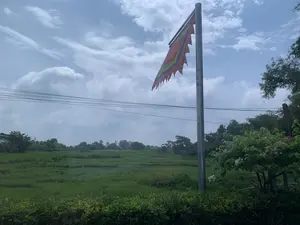 Bức ảnh chụp một khung cảnh nông thôn với một cánh đồng lúa xanh mướt trải dài. Ở phía trước bên phải, có một cột cờ bằng kim loại cắm một lá cờ hội truyền thống (cờ ngũ sắc) có nhiều màu sắc như đỏ, vàng, xanh nhưng đã bị rách ở phần đuôi. Phía sau cánh đồng là những hàng cây xanh. Bầu trời nhiều mây. Một vài đường dây điện chạy ngang qua khung cảnh. Ở tiền cảnh có các bụi cây và một cây hoa giấy. Không có hoạt động cụ thể nào của con người diễn ra, và không có văn bản nào có thể đọc được.。（日本語訳）。写真は、青々と広がる水田のある田舎の風景を写しています。右手前には、赤、黄、青など多くの色を持つ伝統的な祭りの旗（五色旗）が掲げられた金属製の旗竿がありますが、旗の端の部分が破れています。田んぼの後ろには、緑の木々が並んでいます。空は雲が多いです。数本の電線が風景を横切っています。前景には茂みと1本のブーゲンビリアの木があります。特定の人間の活動は見られず、読み取れる文字もありません。