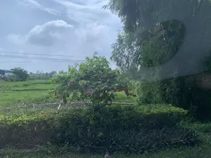 Đây là một khung cảnh nông thôn. Ở phía trước là các bụi cây, bao gồm một cây hoa giấy có hoa màu hồng và một hàng rào cây được cắt tỉa. Bên phải có một cây tre lớn. Phía sau là một cánh đồng lúa xanh mướt. Ở phía xa có thể thấy một vài ngôi nhà và cây cối. Bầu trời có mây. Có các đường dây điện chạy ngang qua khung cảnh. Không có người hay hoạt động nào rõ ràng trong ảnh. Hình ảnh có vẻ được chụp từ bên trong một phương tiện, vì có hình ảnh phản chiếu mờ ở phía bên phải.。（日本語訳）。これは田舎の風景です。手前には茂みがあり、ピンク色の花をつけたブーゲンビリアの木と、刈り込まれた生け垣が含まれています。右側には大きな竹の木があります。後ろには青々とした水田が広がっています。遠くにはいくつかの家と木々が見えます。空は曇っています。風景を横切って電線が走っています。写真には人や明確な活動は見られません。右側にぼやけた反射があるため、画像は乗り物の中から撮影されたようです。