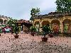 202407_Hanoi/20240704-132523-0.JPG 1844KB