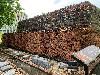 202407_Hanoi/20240704-145052-0.JPG 2434KB