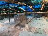 202407_Hanoi/20240704-145336-0.JPG 1839KB