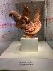 202407_Hanoi/20240704-150227-0.JPG 1024KB