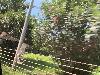 202407_Hanoi/20240705-093029-0.JPG 1687KB