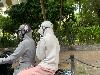 202407_Hanoi/20240706-133917-0.JPG 1468KB
