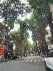 202407_Hanoi/20240710-161523-0.JPG 1638KB