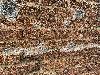 202407_Sontay/20240705-110725-0.JPG 3488KB