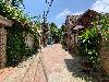 202407_Sontay/20240705-111553-0.JPG 2127KB