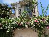 202407_Sontay/20240705-111615-0.JPG 2249KB