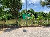 202407_Sontay/20240705-113528-0.JPG 2707KB
