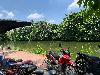 202407_Sontay/20240705-113628-0.JPG 1999KB