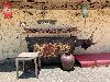 202407_Sontay/20240705-114411-0.JPG 2179KB